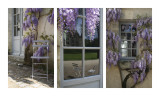 Le Weekend Triptych