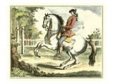 Equestrian Training II