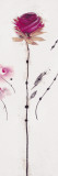 Oriental Rose III