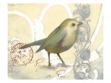 Small Postcard Song II