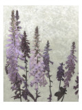 Non-Embellished Foxgloves II