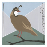 Avian September