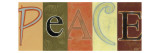 Peace Panel