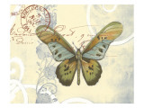 Small Postcard Song IV