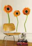 Orange Poppies