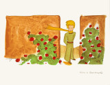 Petit Prince et le Jardin de Roses