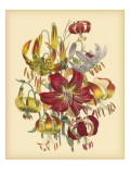 Garden Bouquet III