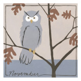 Avian November