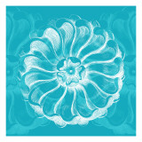 Chromatic Rosette III