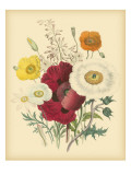 Garden Bouquet II