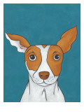 Pet Portraits II