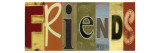 Friends Panel