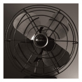Vintage Fan Study IV