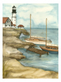 Shoreline Dock I