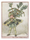 The Box Tree Fairy
