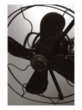 Vintage Fan Study III
