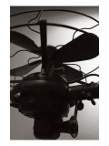 Vintage Fan Study I