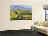 Track  San Quirico D'Orcia  Val D'Orcia  Tuscany  Italy