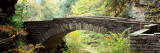 Arch Bridge in a Forest  Robert H Treman State Park  Ithaca  Tompkins County  Finger Lakes