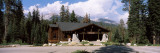 Lodge in a Forest  Wuksachi Lodge  Sequoia National Park  California  USA