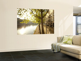 River Seine and Ile St Louis  Paris  France