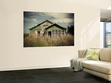 USA  Louisiana  Cajun Country  St Martinville  Abandoned Farmhouse