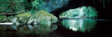 Natural Arch in a Forest  Moria Gate Arch  Oparara Basin  Kahurangi National Park