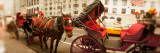Horse Drawn Carriages at the Roadside  Central Park  Manhattan  New York City  New York State  USA