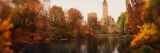 Park with Buildings in the Background  Central Park  Manhattan  New York City  New York State  USA