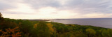 Fall Trees on the Coast  Cape Breton Island  Nova Scotia  Canada