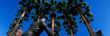 Low Angle View of a Statue of Willie Mays the American Baseball Player  San Francisco