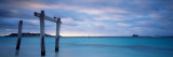 Seascape  Hamelin Bay  Western Australia  Australia