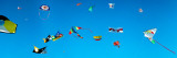 Low Angle View of Kites Flying  Bouches-Du-Rhone  France