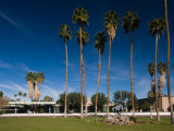 Palm Trees in Front of a Government Building  Palm Springs City Hall  Palm Springs