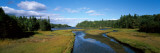 Trees Around a Marsh  Cape Breton Island  Nova Scotia  Canada