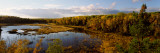Lake in Autumn  Wood Lake  Superior National Forest  Yellow Medicine County  Minnesota  USA