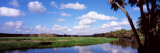 Reflection of Clouds in a River  Myakka River  Myakka River State Park  Sarasota County  Florida