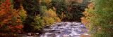 River Flowing Through a Forest  Ausable River  Adirondack Mountains  Wilmington  Essex County