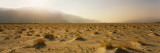 Sand Dunes in a Desert  Coachella Valley  San Gorgonio Pass  Palm Springs  California  USA