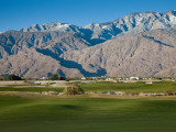 Golf Course with Mountain Range  Desert Princess Country Club  Palm Springs