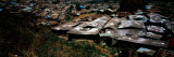 High Angle View of Huts in a Shanty Town  Kibera  Nairobi  Kenya
