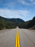 Road Passing Through a Forest  RN 234  Lake District  Argentina