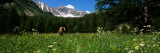 Female Hiker Taking Picture of the Scenery  Hinterland  French Riviera  Provence-Alpes-Cote D'Azur