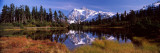 Reflection of Mountains in a Lake  Mt Shuksan  Picture Lake  North Cascades National Park