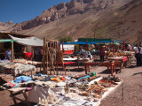 Tourist in a Flea Market  Puente Del Inca  Mendoza Province  Argentina