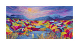Rainbow Fields