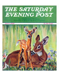 "Doe and Fawn in Forest " Saturday Evening Post Cover  June 1  1940