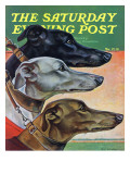 "Greyhounds " Saturday Evening Post Cover  March 29  1941