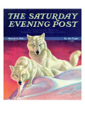 "White Wolves " Saturday Evening Post Cover  March 8  1941