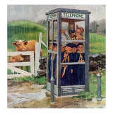 "Cub Scouts in Phone Booth " August 26  1961